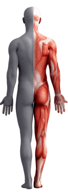 human body - pain location