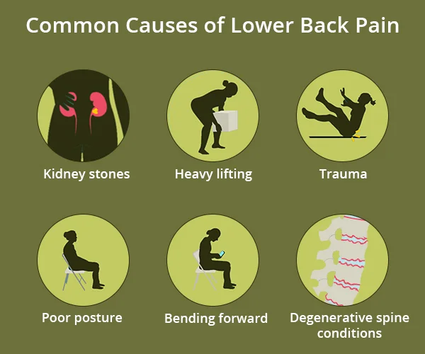 Low Back Pain A PATIENT S JOURNEY LOW BACK PAIN AND WHAT CAN BE DONE Low Back Pain A PATIENT S JOURNEY LOW BACK PAIN AND WHAT CAN BE DONE