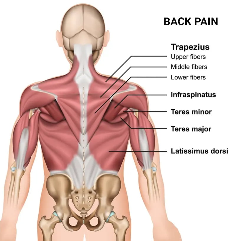 How to Relieve Lower Back Pain While Sleeping