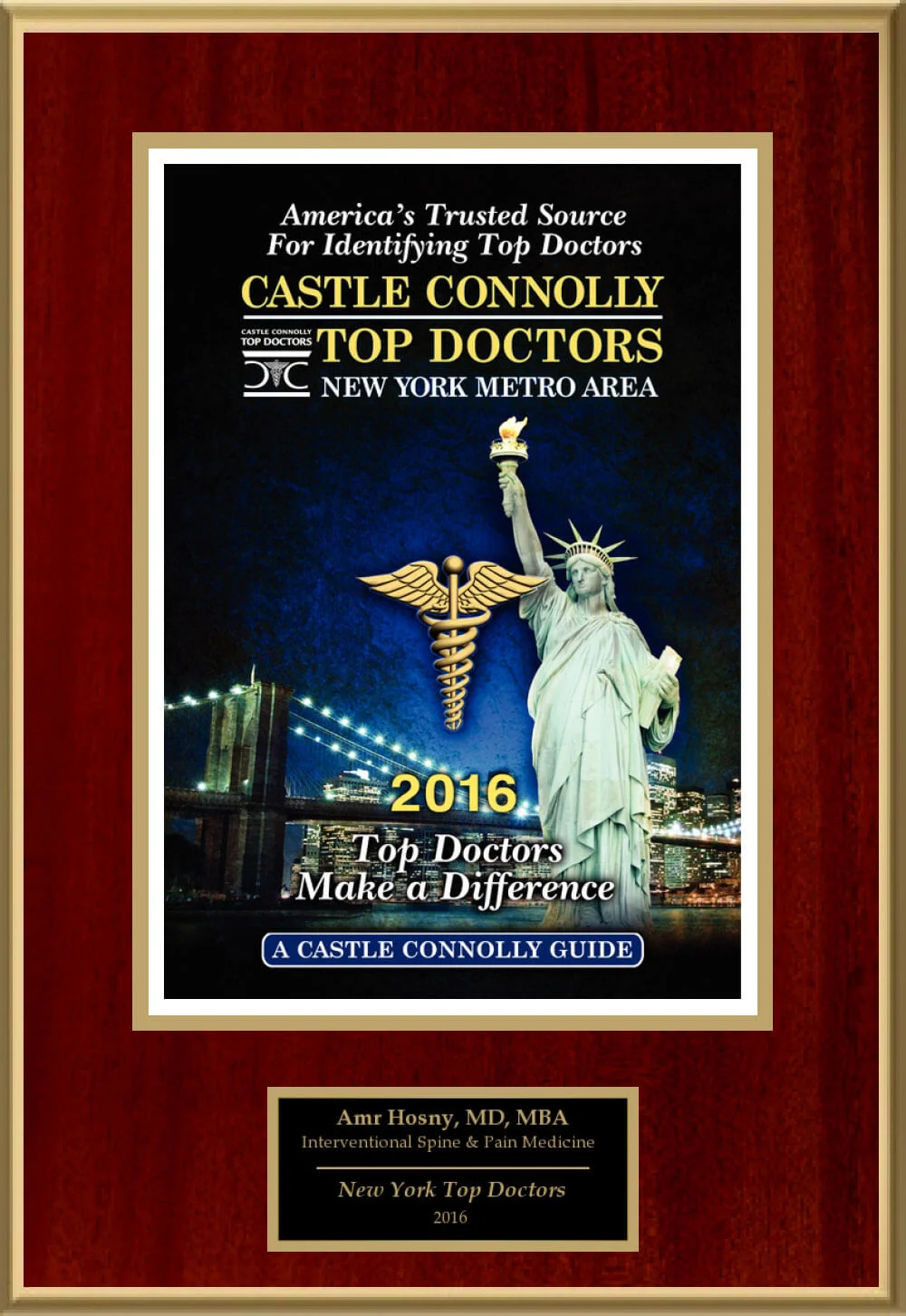 Castle Connolly Top Doctor New York Metro Area 2016 recognition for Dr. Amr Hosny