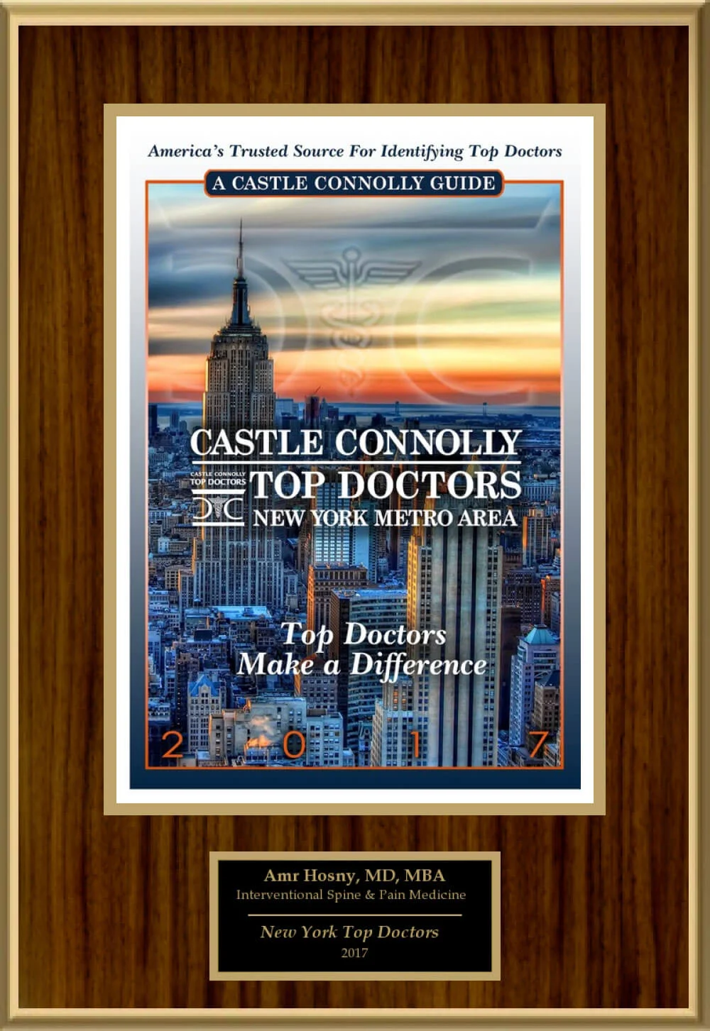 Castle Connolly Top Doctor New York Metro Area 2017 awarded to Dr. Amr Hosny